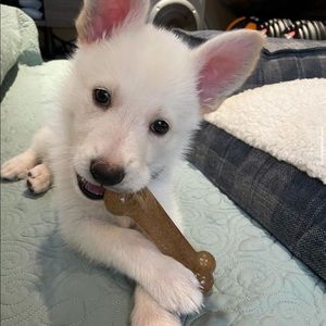 Meet your Posher, Elizabeth